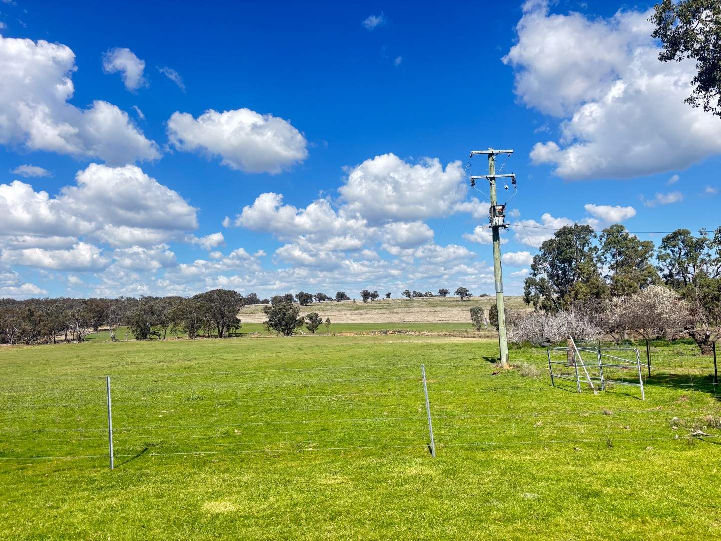 670 Coybil Road, Weetaliba For Sale by Farmbuy.com - image 21