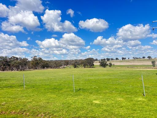 Farm For Sale - NSW - Weetaliba - 2395 - "Cawoola" - Substantial Mixed Farming & Grazing! 