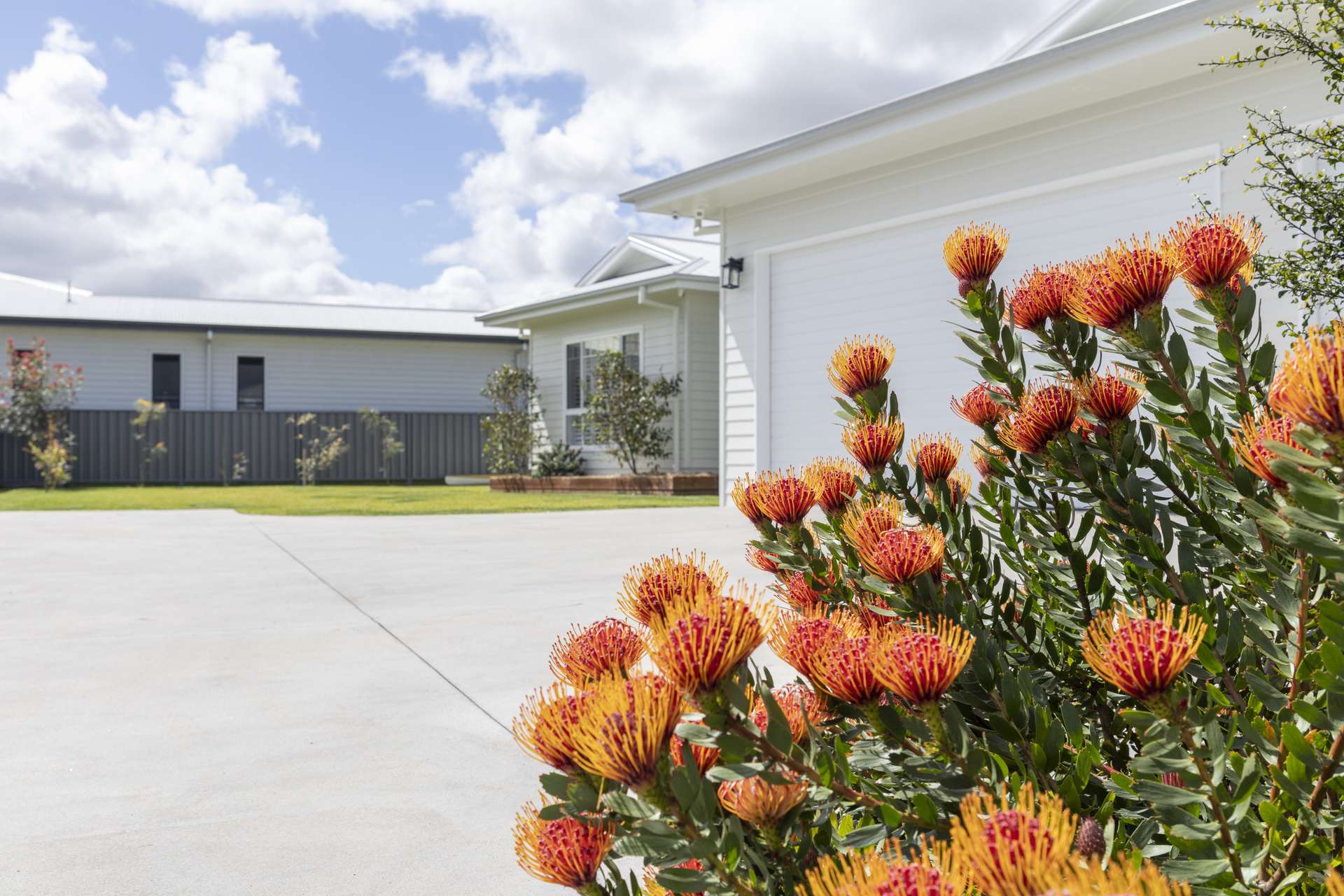 3 Ibis Court, Grafton For Sale by Farmbuy.com - image 17