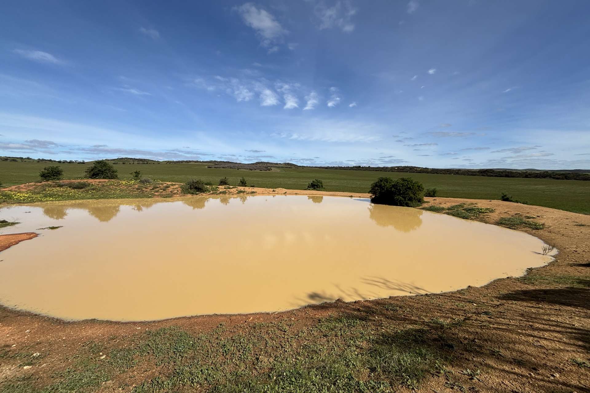 Lot 92 Pollies Plain Road, Miltalie For Sale by Farmbuy.com - image 12