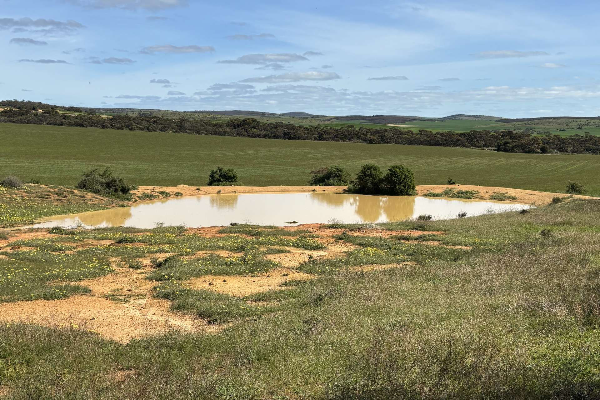 Lot 92 Pollies Plain Road, Miltalie For Sale by Farmbuy.com - image 3