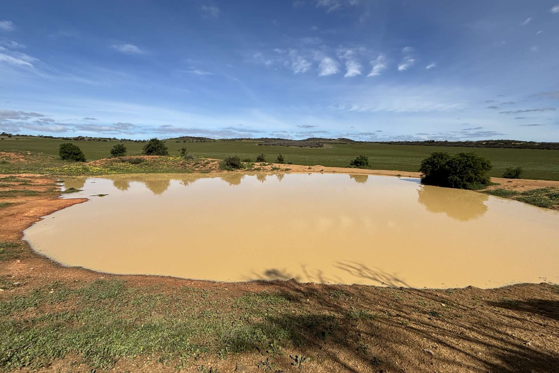 Lot 92 Pollies Plain Road, Miltalie For Sale by Farmbuy.com - image 9