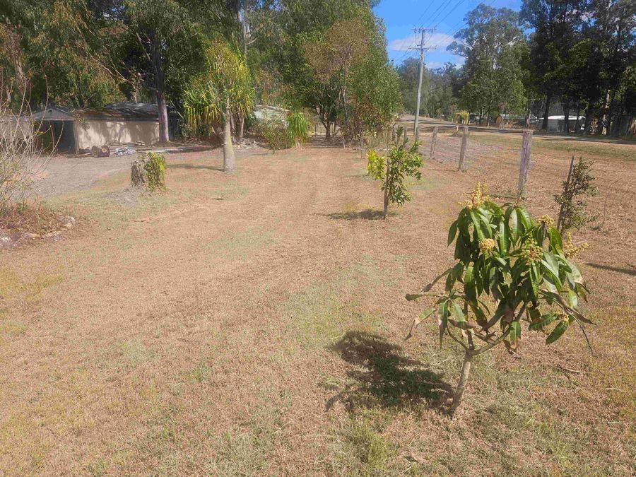 102 Cliff Jones Road, Curra For Sale by Farmbuy.com - image 15