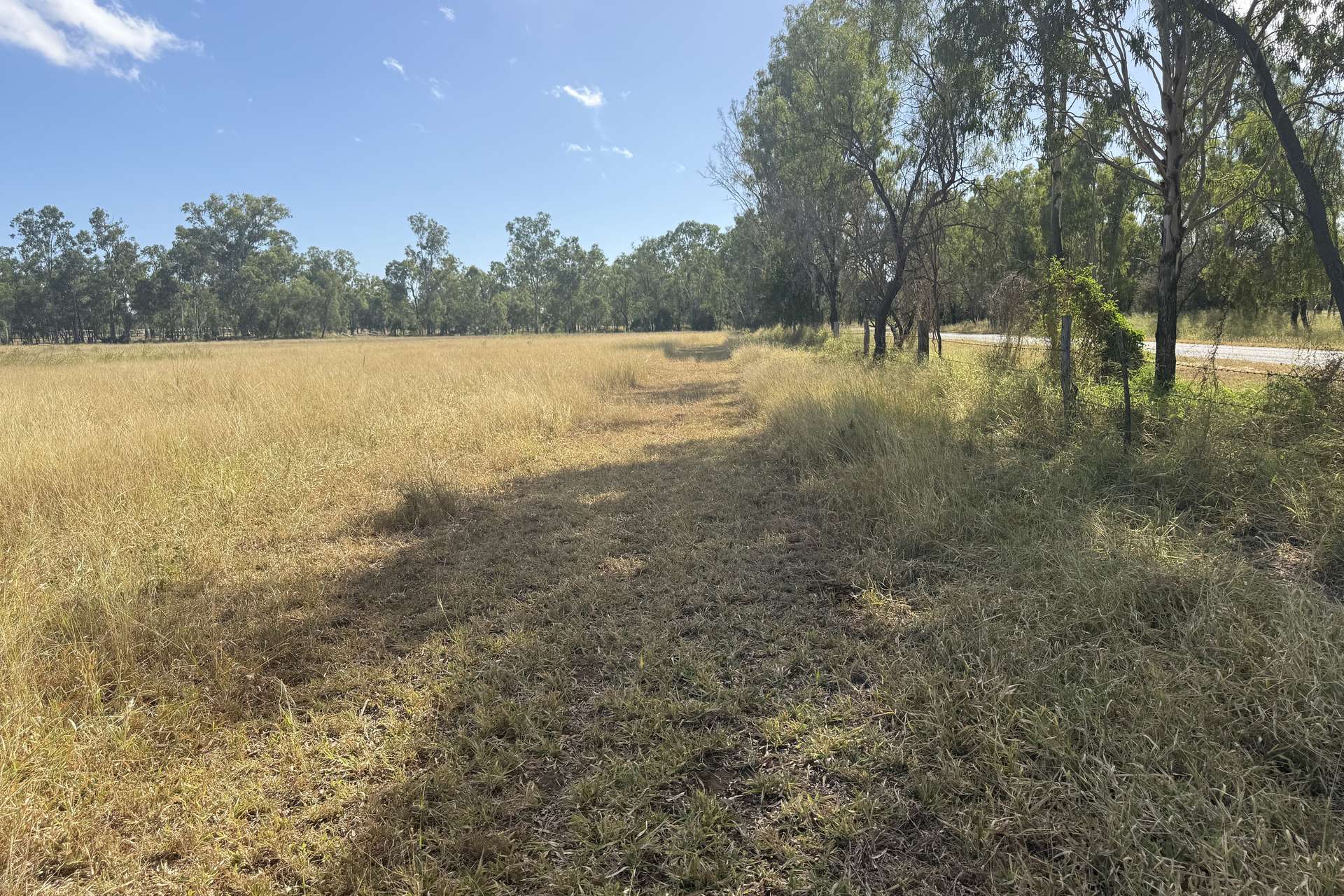 1 George Street, Wowan For Sale by Farmbuy.com - image 3