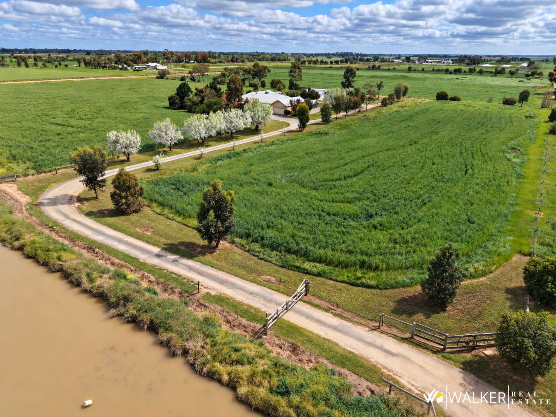 1416 Finlay Road, Tongala For Sale by Farmbuy.com - image 27