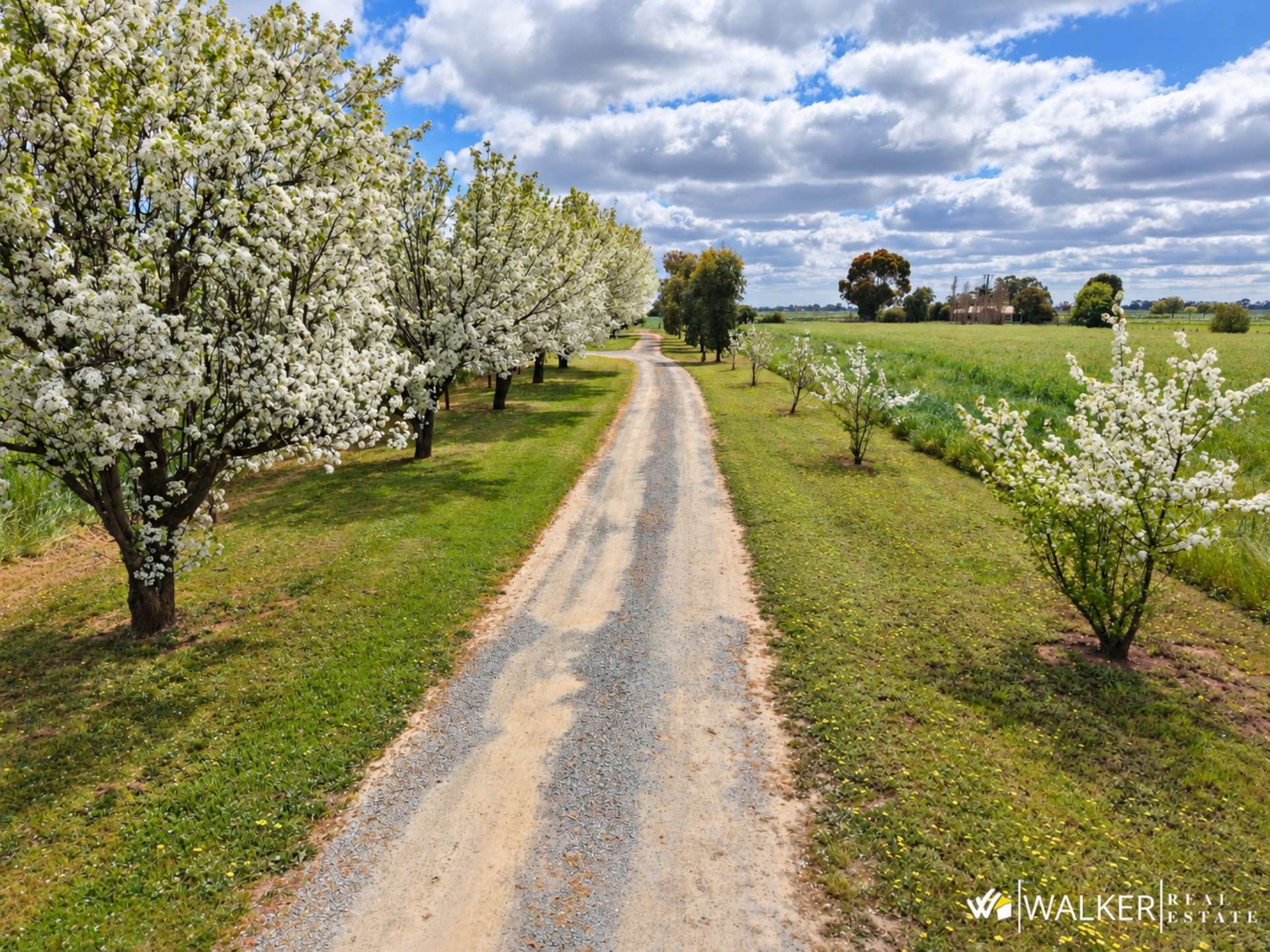 1416 Finlay Road, Tongala For Sale by Farmbuy.com - image 14