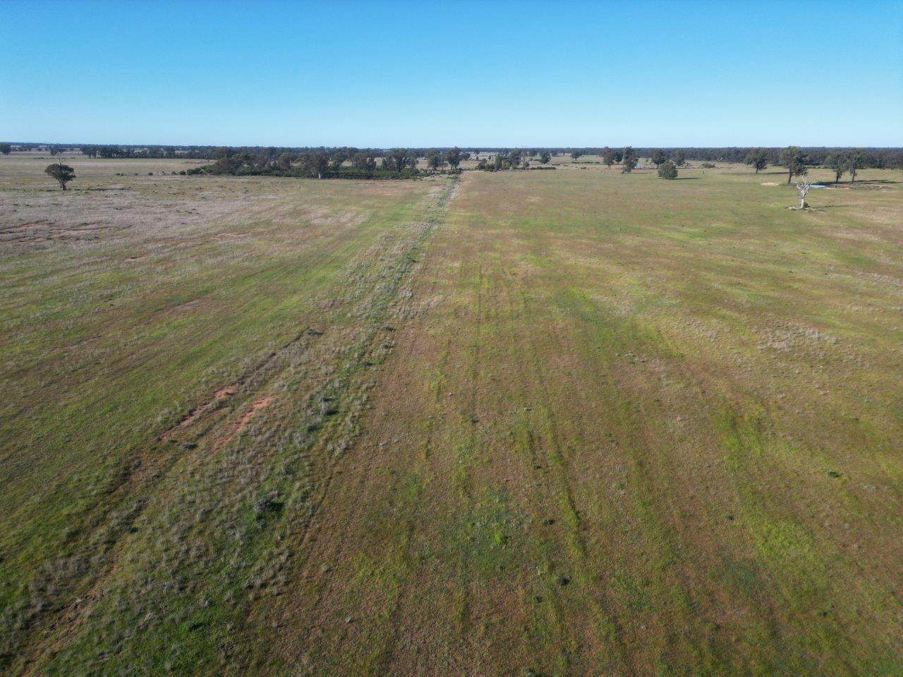 'Fernleigh' 882 Womboyne Rd, West Wyalong For Sale by Farmbuy.com - image 15