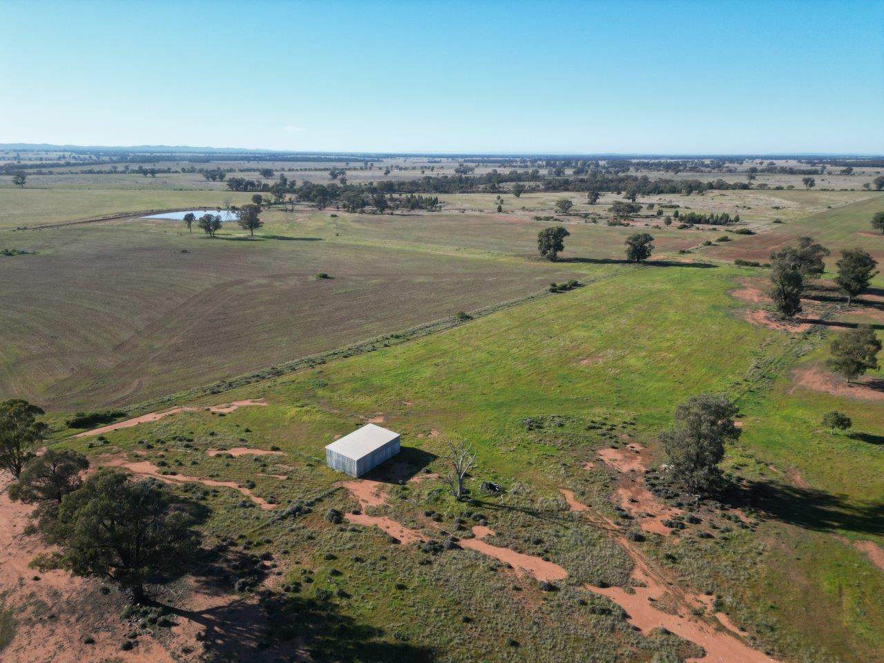 'Fernleigh' 882 Womboyne Rd, West Wyalong For Sale by Farmbuy.com - image 2