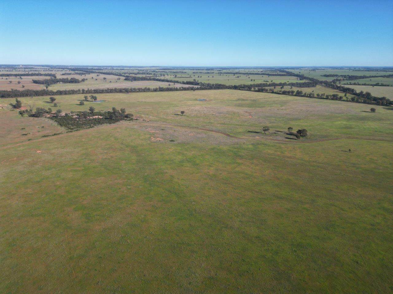 'Fernleigh' 882 Womboyne Rd, West Wyalong For Sale by Farmbuy.com - image 7