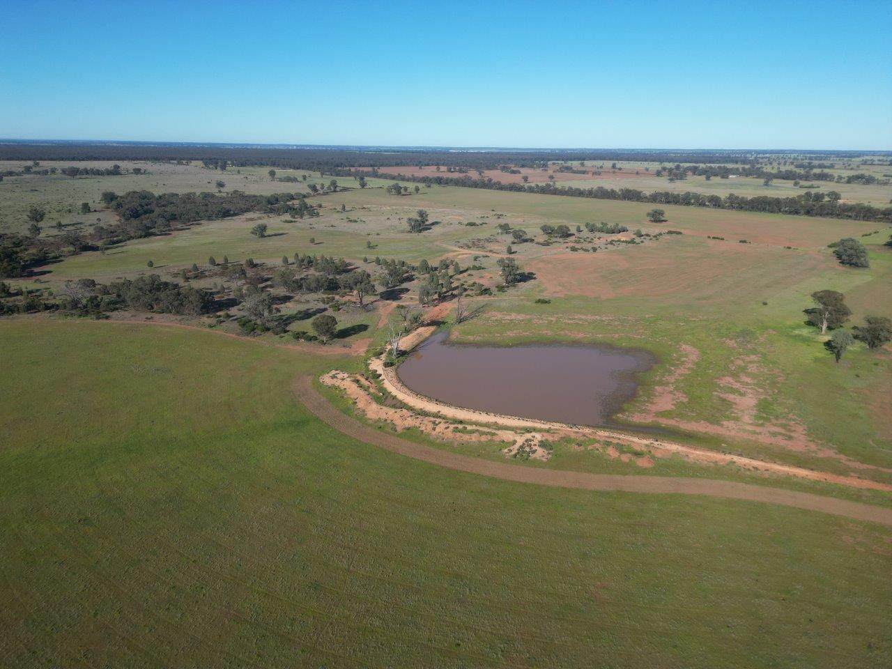 'Fernleigh' 882 Womboyne Rd, West Wyalong For Sale by Farmbuy.com - image 5