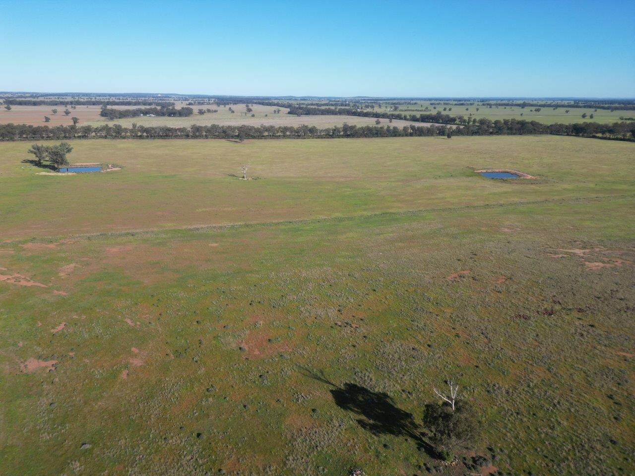 'Fernleigh' 882 Womboyne Rd, West Wyalong For Sale by Farmbuy.com - image 13