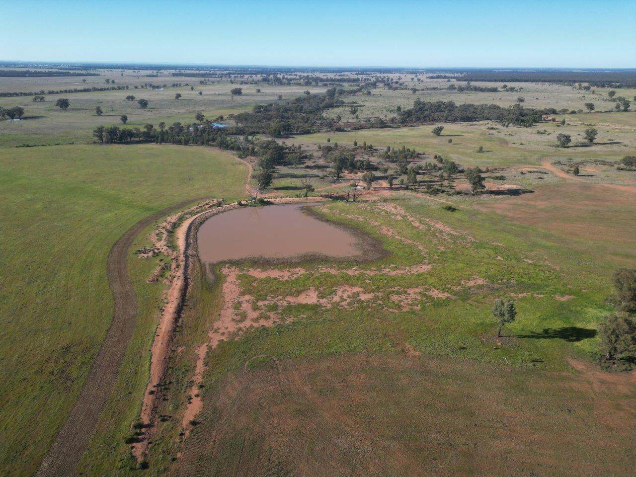 'Fernleigh' 882 Womboyne Rd, West Wyalong For Sale by Farmbuy.com - image 1