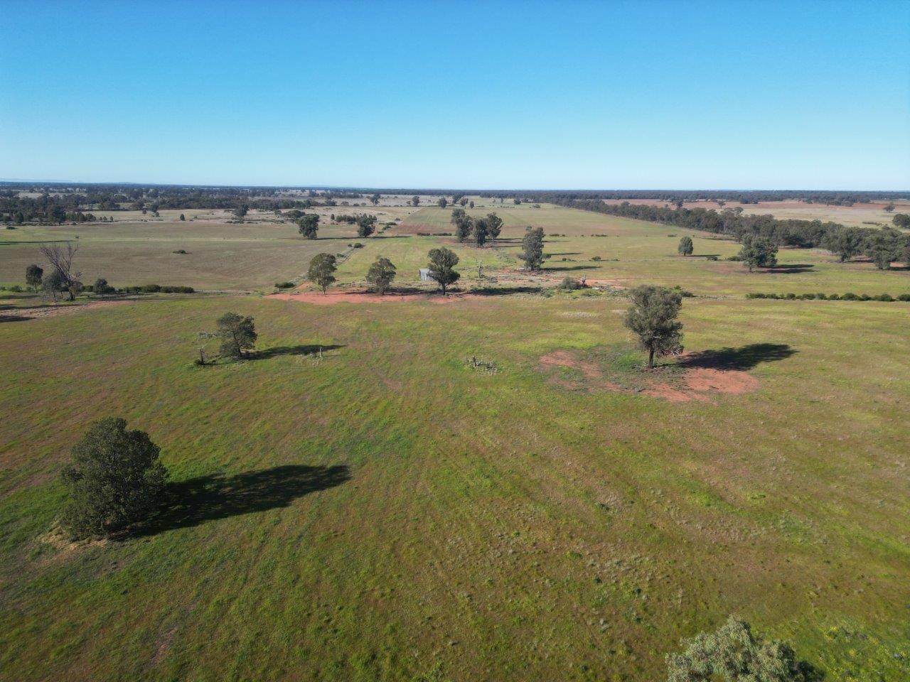 'Fernleigh' 882 Womboyne Rd, West Wyalong For Sale by Farmbuy.com - image 18