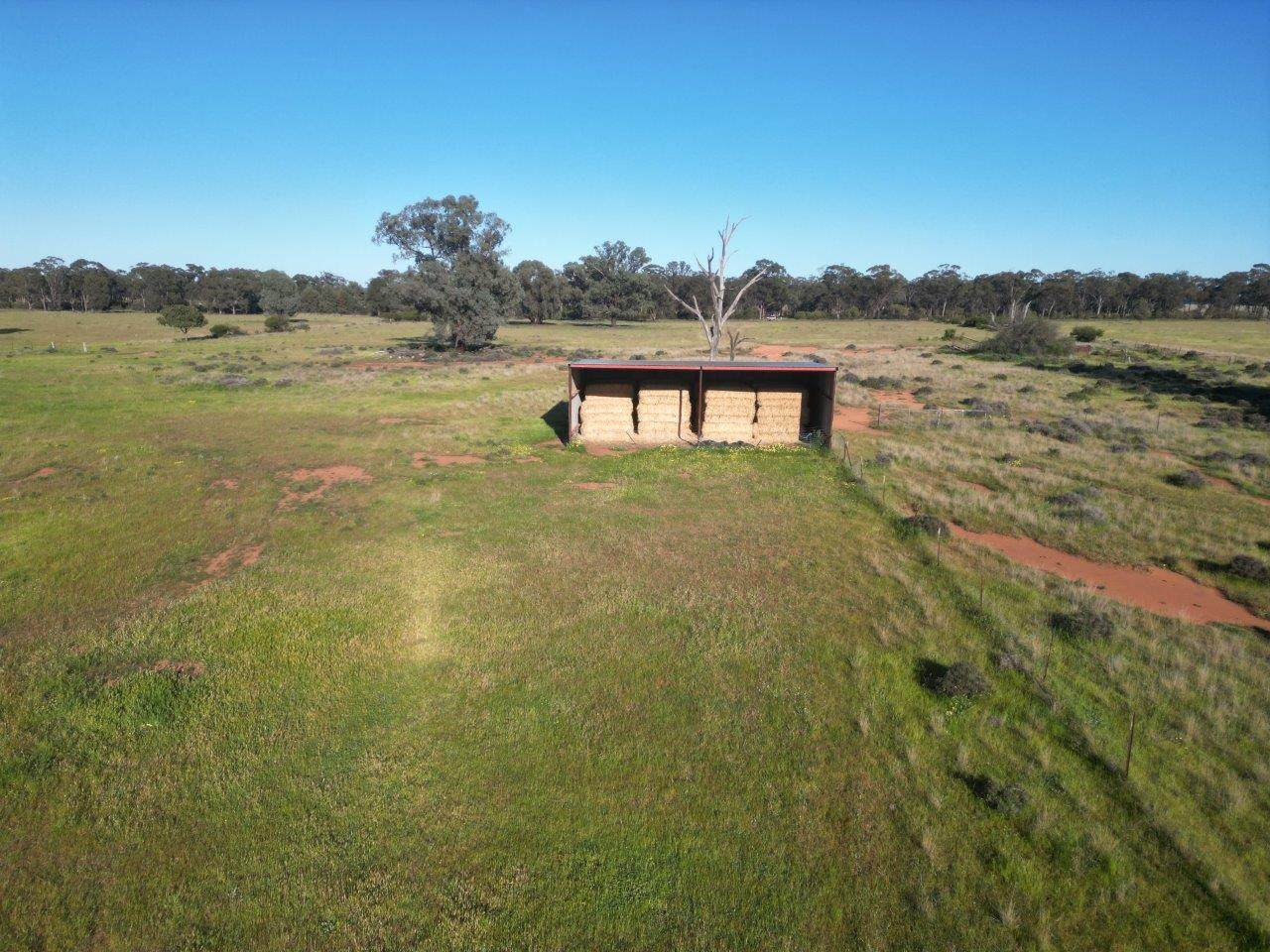 'Fernleigh' 882 Womboyne Rd, West Wyalong For Sale by Farmbuy.com - image 8