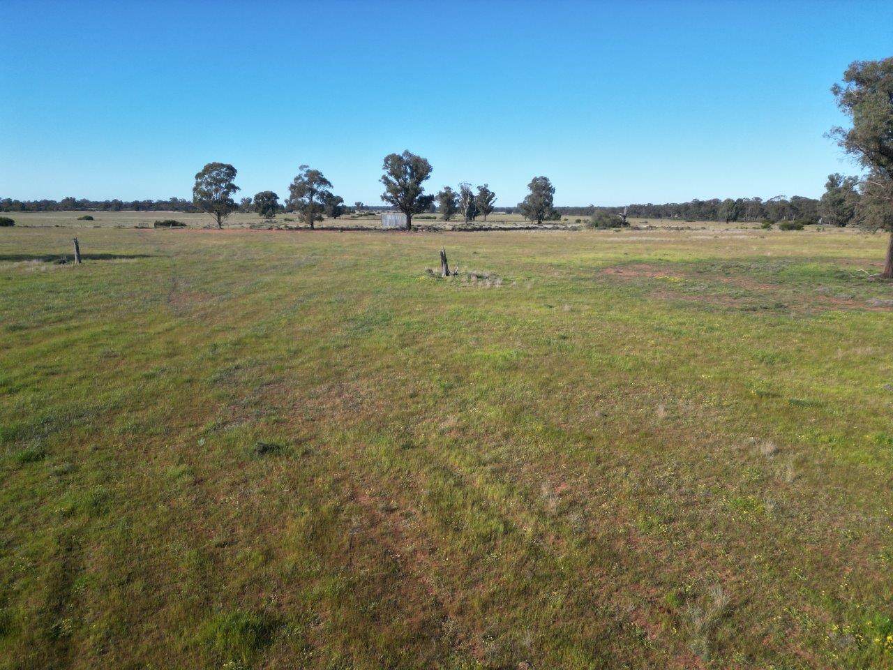 'Fernleigh' 882 Womboyne Rd, West Wyalong For Sale by Farmbuy.com - image 9