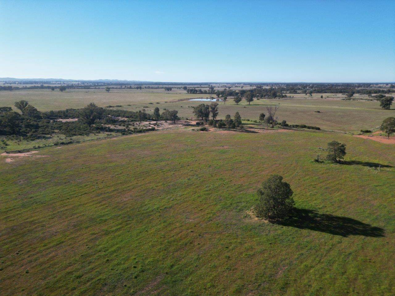 'Fernleigh' 882 Womboyne Rd, West Wyalong For Sale by Farmbuy.com - image 17