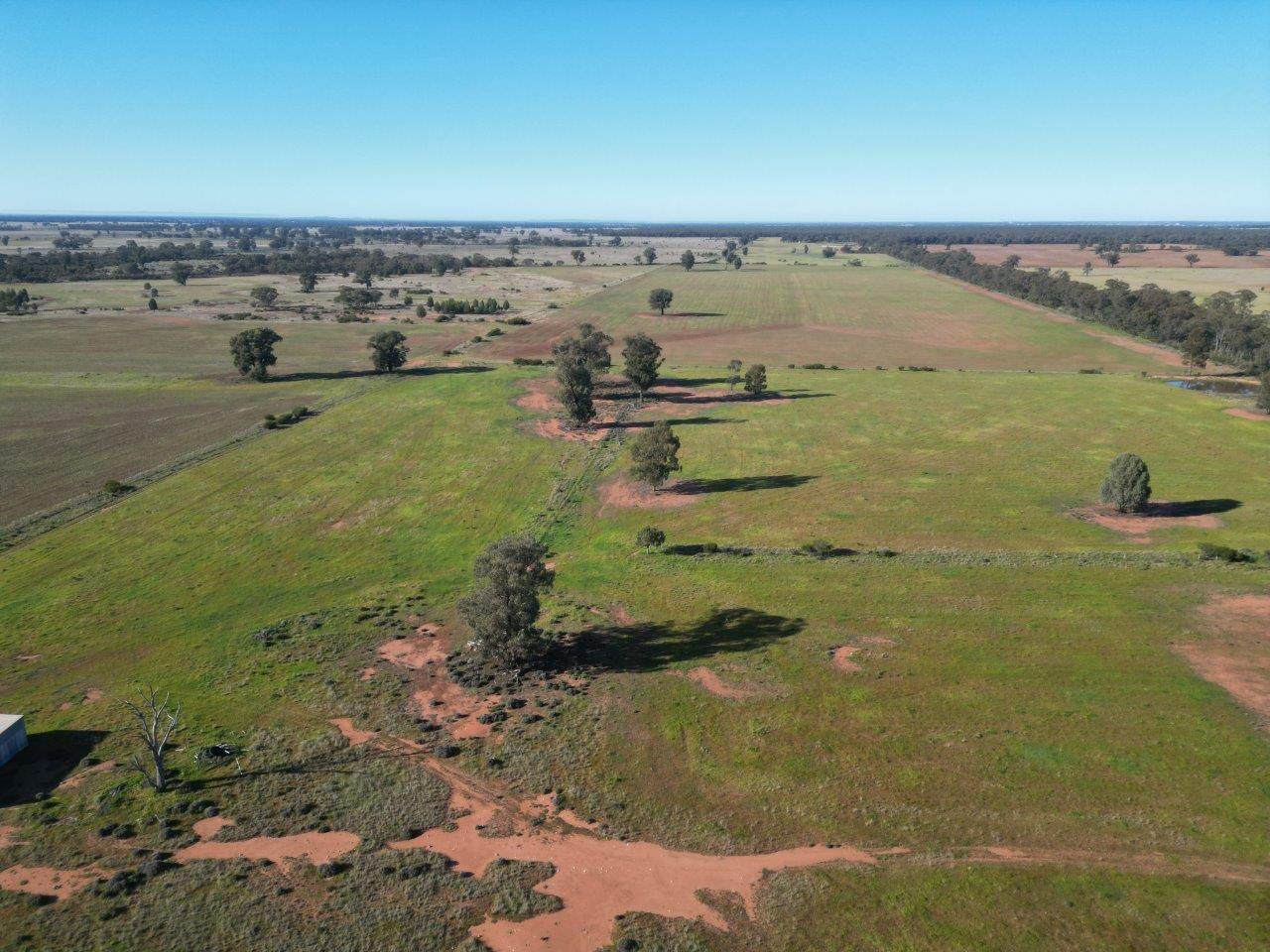 'Fernleigh' 882 Womboyne Rd, West Wyalong For Sale by Farmbuy.com - image 3