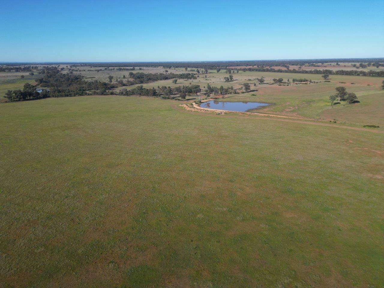 'Fernleigh' 882 Womboyne Rd, West Wyalong For Sale by Farmbuy.com - image 12