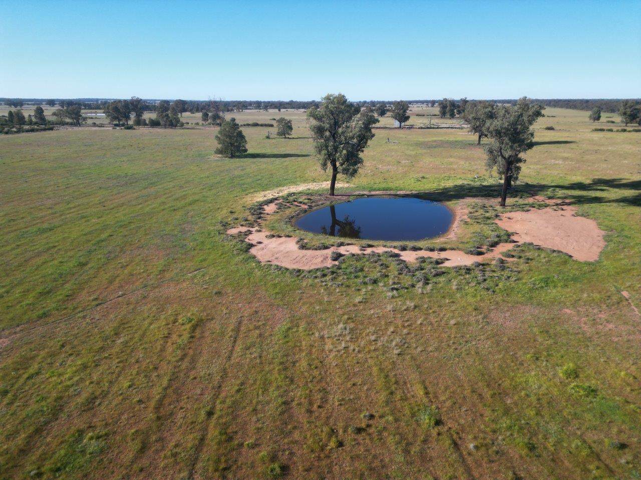 'Fernleigh' 882 Womboyne Rd, West Wyalong For Sale by Farmbuy.com - image 16