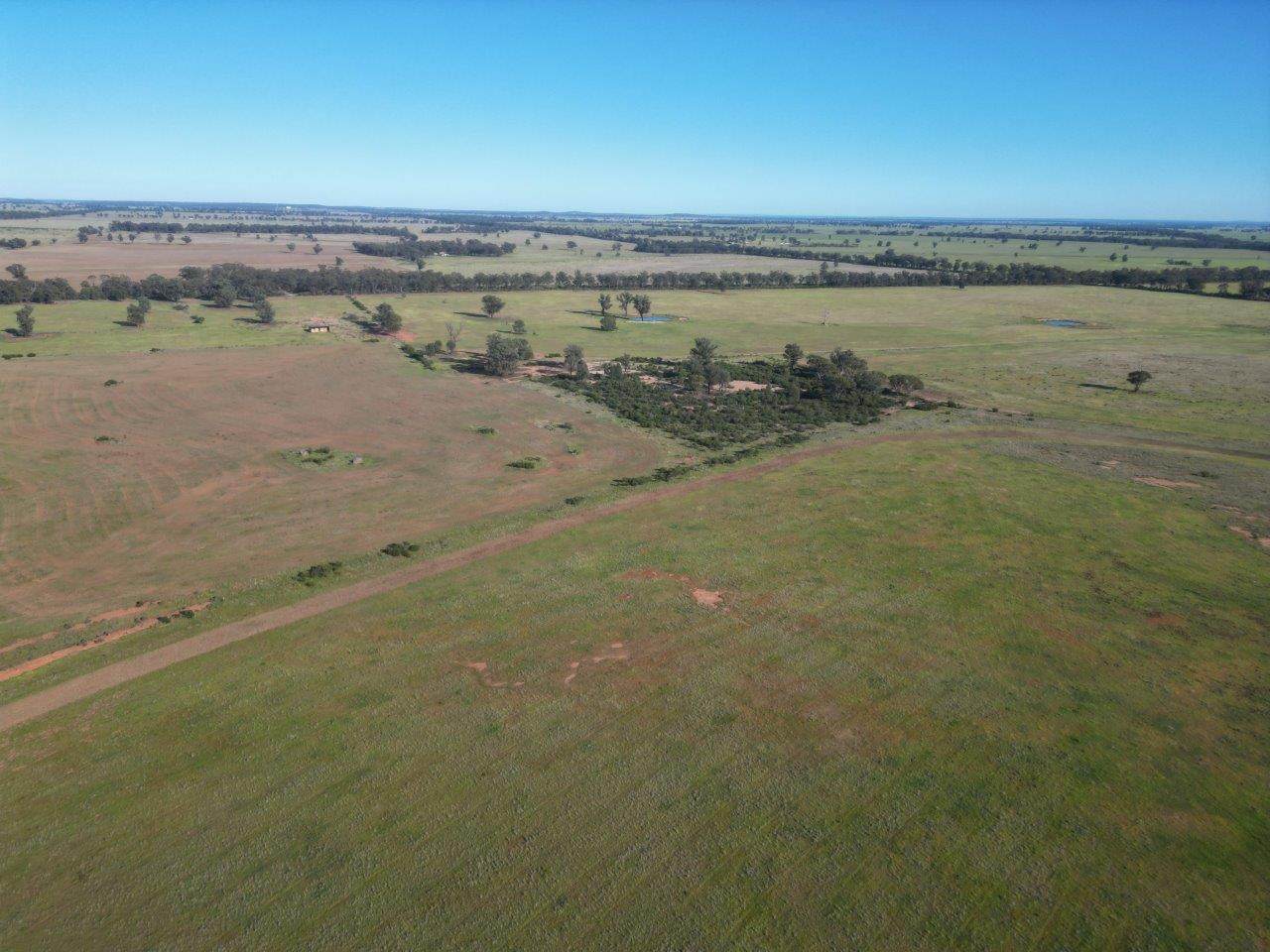 'Fernleigh' 882 Womboyne Rd, West Wyalong For Sale by Farmbuy.com - image 6