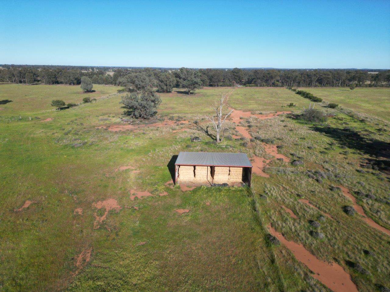 'Fernleigh' 882 Womboyne Rd, West Wyalong For Sale by Farmbuy.com - image 4