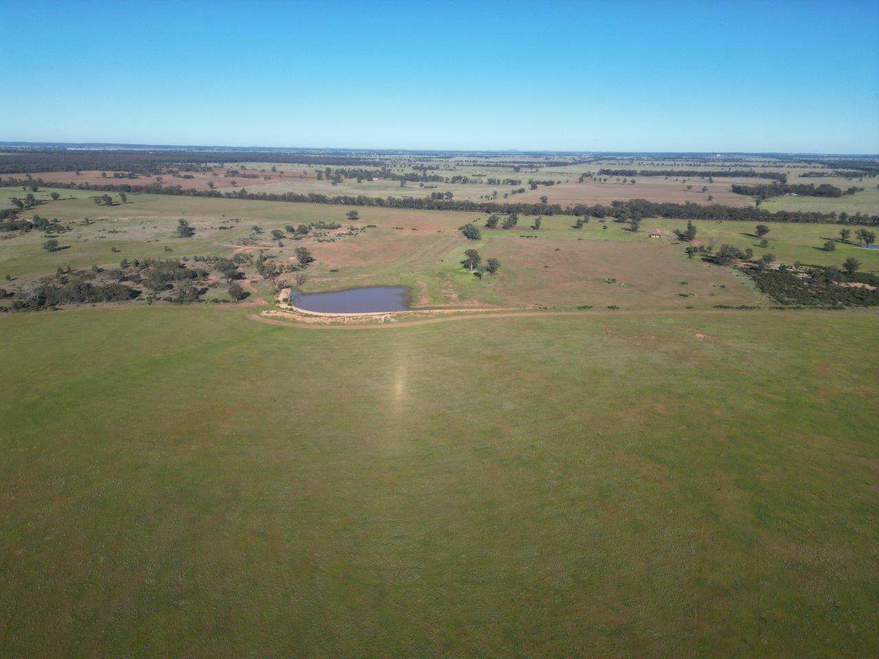 'Fernleigh' 882 Womboyne Rd, West Wyalong For Sale by Farmbuy.com - image 10