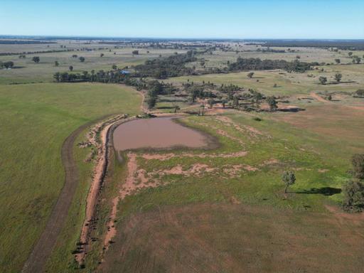 'Fernleigh' 882 Womboyne Rd, West Wyalong NSW 2671
