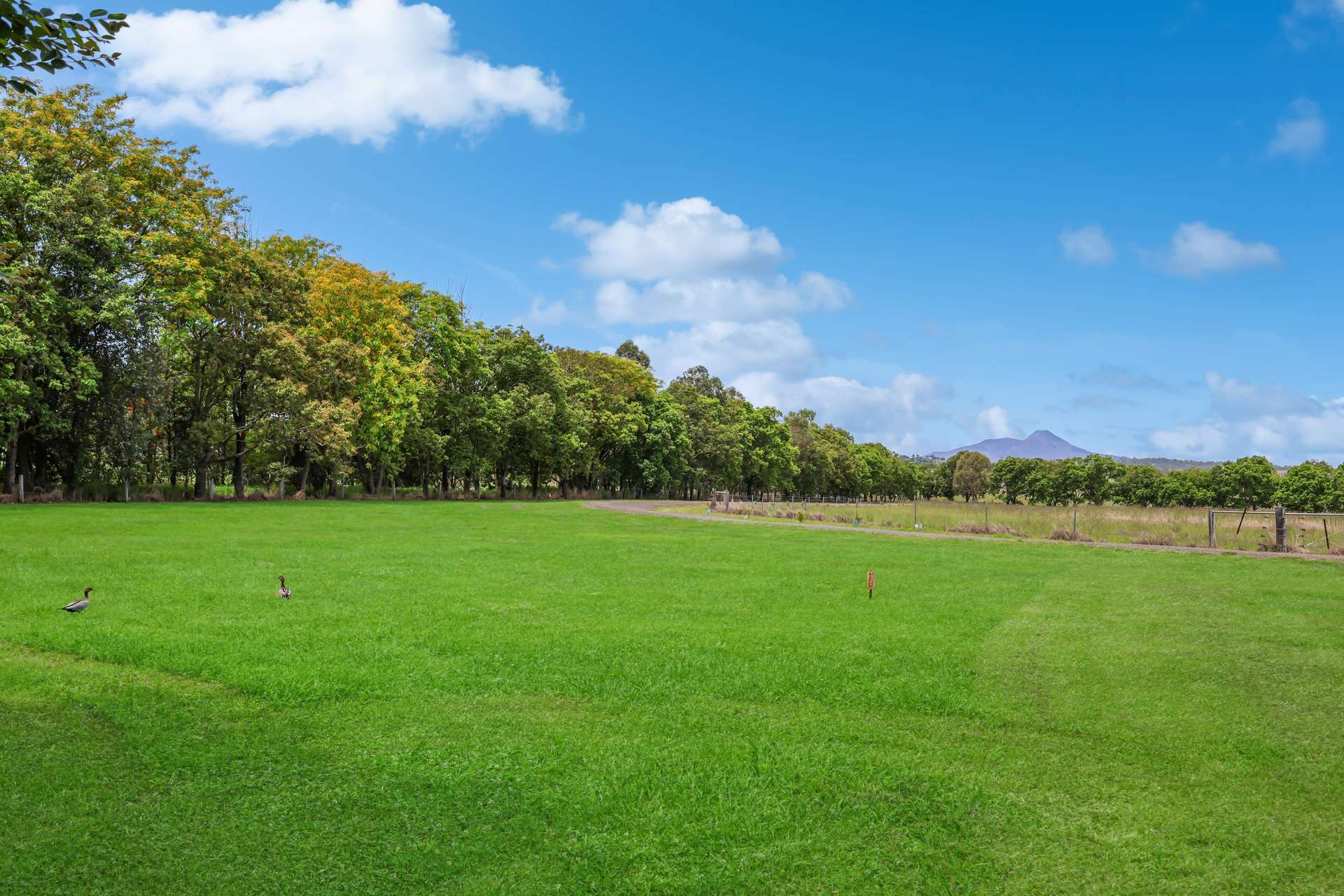 Lot 120/178 Dunns Avenue, Harrisville For Sale by Farmbuy.com - image 12