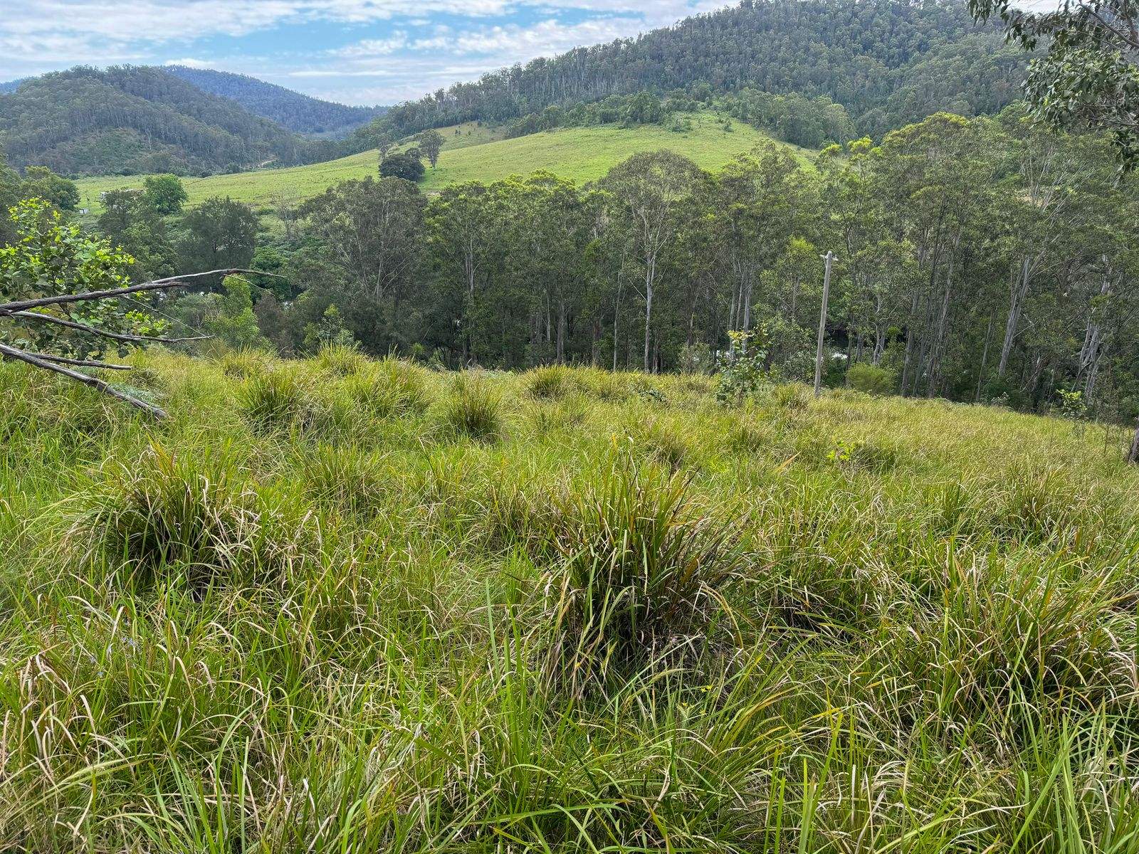 3460 Nowendoc Road, Caffreys Flat For Sale by Farmbuy.com - image 7