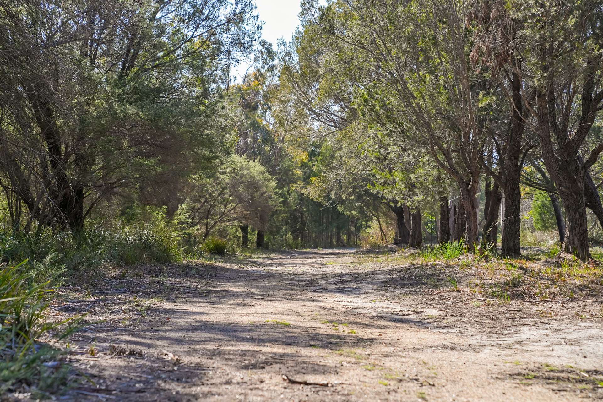 177 Harveys Farm Road, Bicheno For Sale by Farmbuy.com - image 14