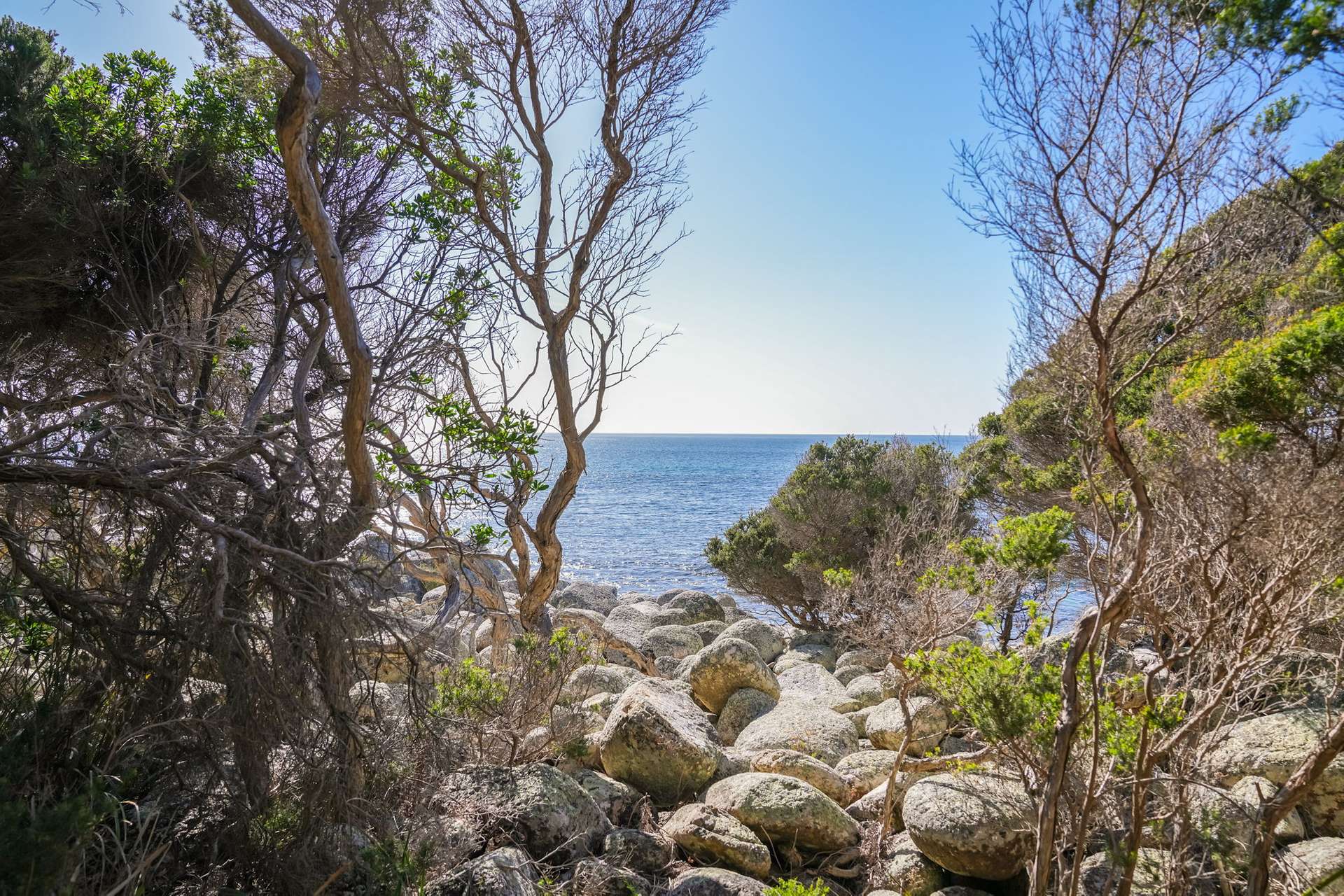 177 Harveys Farm Road, Bicheno For Sale by Farmbuy.com - image 11