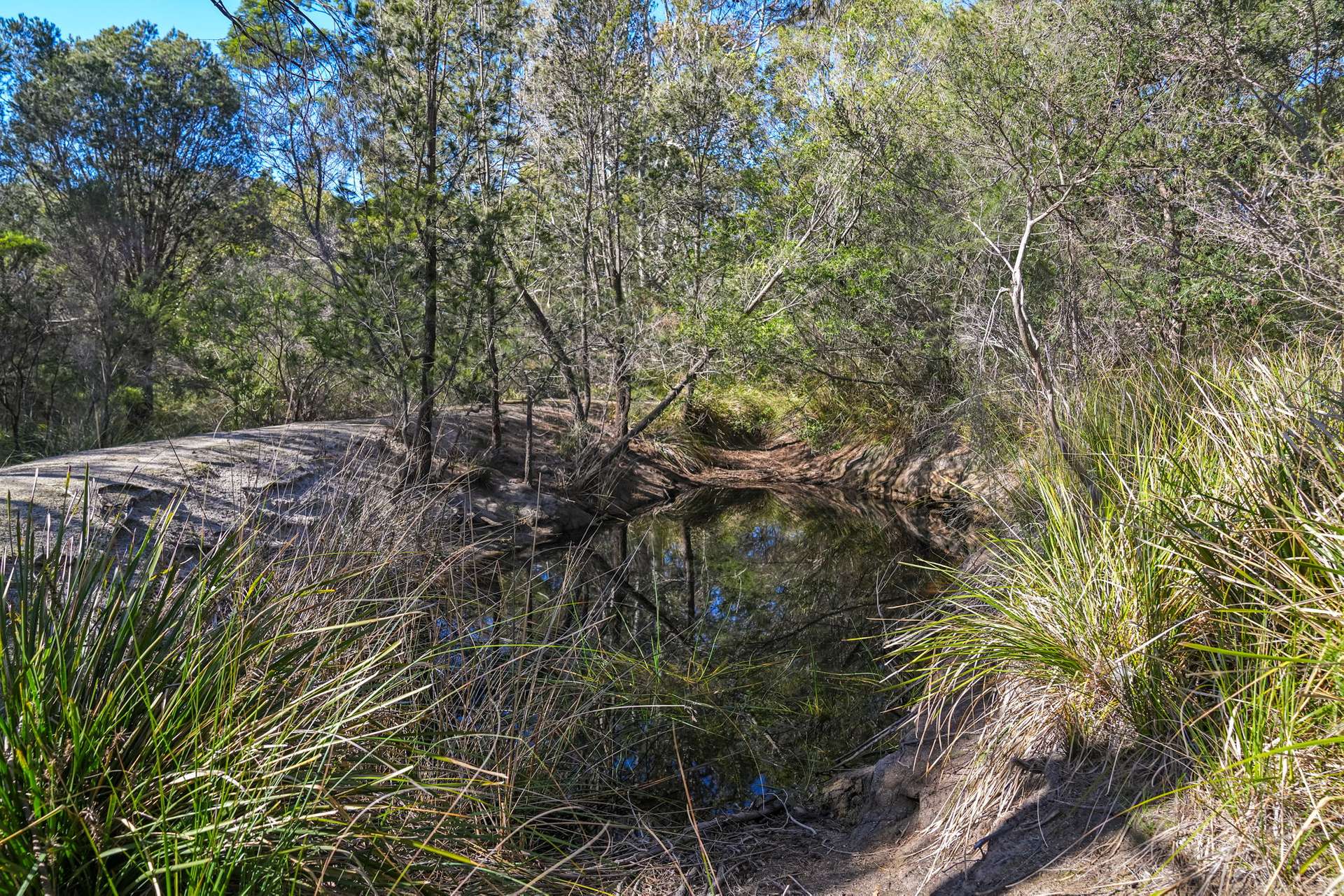 177 Harveys Farm Road, Bicheno For Sale by Farmbuy.com - image 15