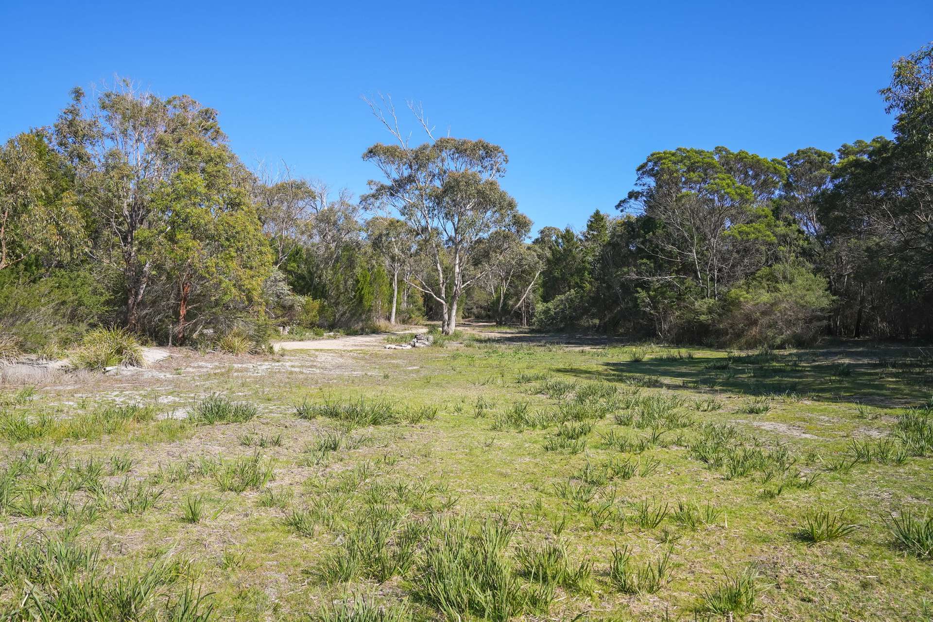 177 Harveys Farm Road, Bicheno For Sale by Farmbuy.com - image 13