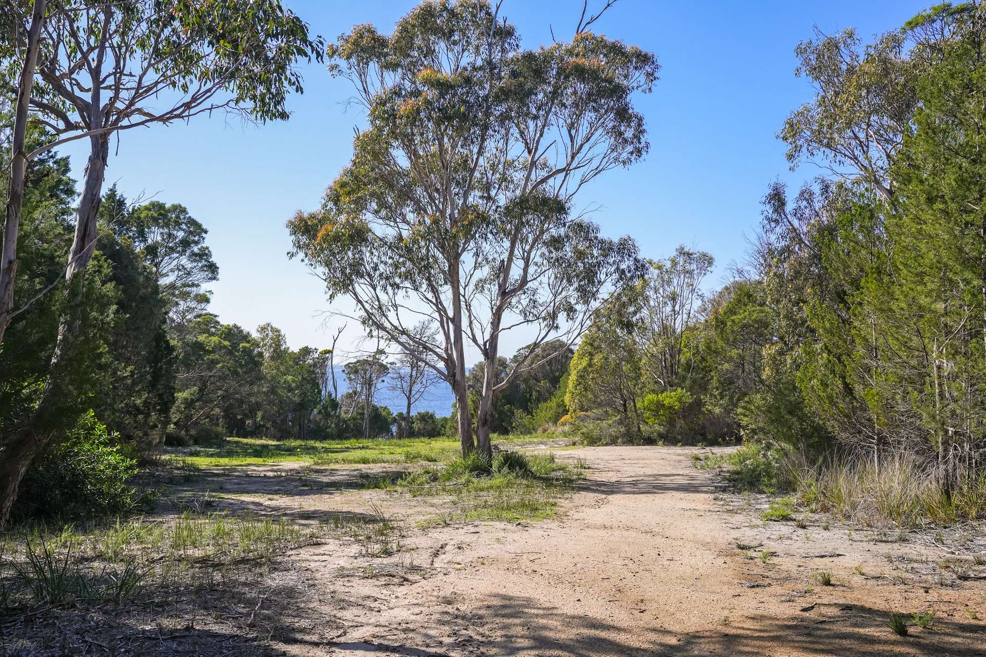 177 Harveys Farm Road, Bicheno For Sale by Farmbuy.com - image 12