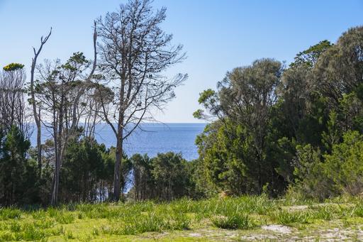 Farm For Sale - TAS - Bicheno - 7215 - Fabulous Foreshore & Future 