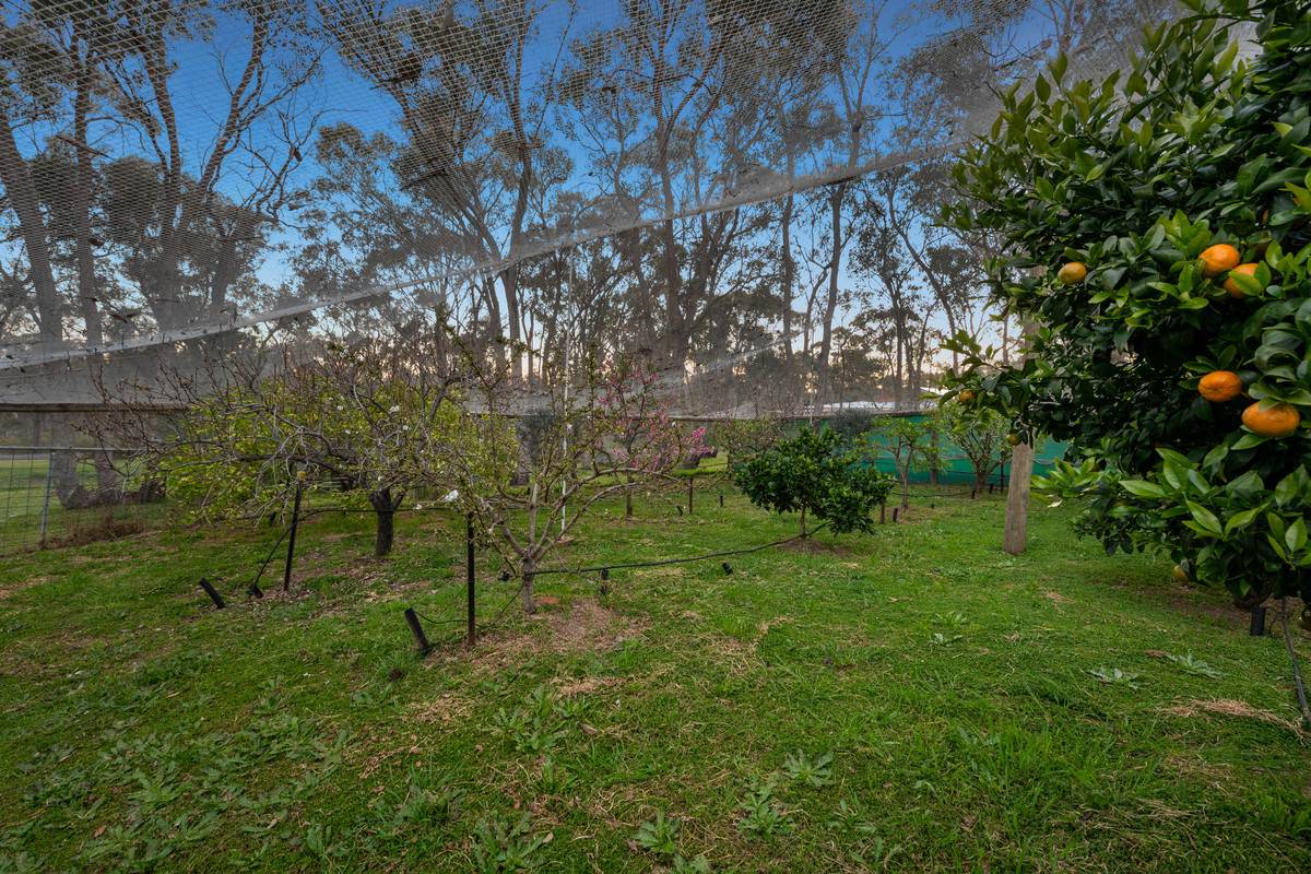 289 Turners Road, Junortoun For Sale by Farmbuy.com - image 27