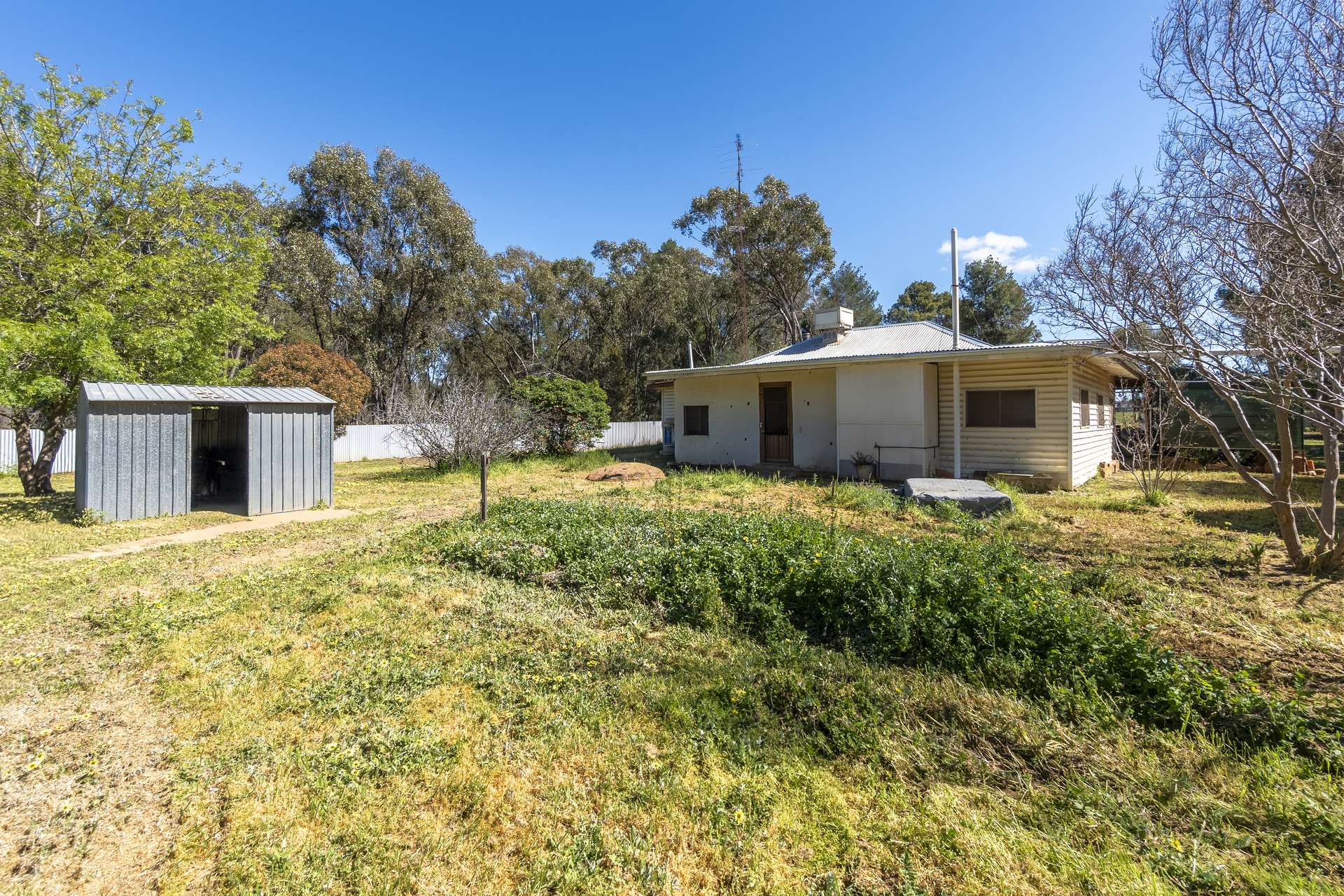 55 Mumbledoon Road, Ardlethan For Sale by Farmbuy.com - image 18