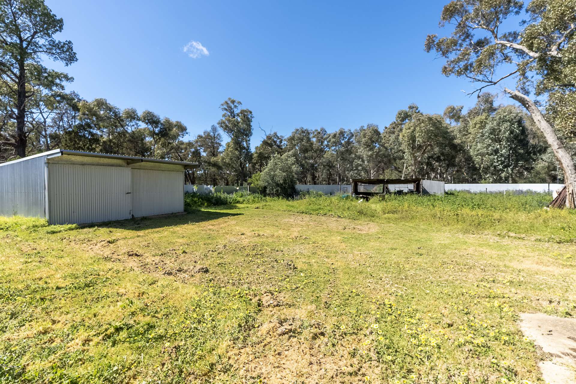 55 Mumbledoon Road, Ardlethan For Sale by Farmbuy.com - image 19
