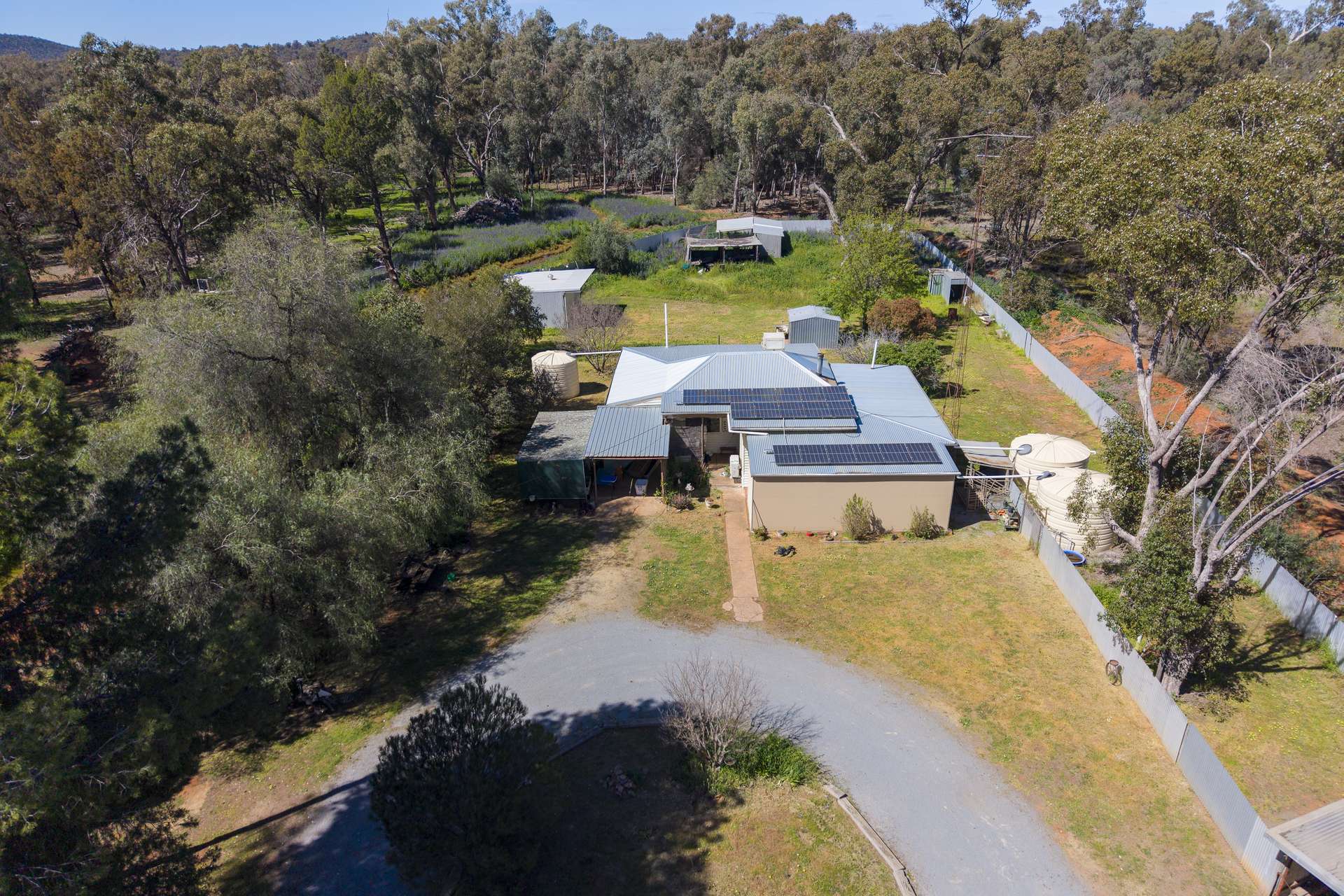 55 Mumbledoon Road, Ardlethan For Sale by Farmbuy.com - image 20