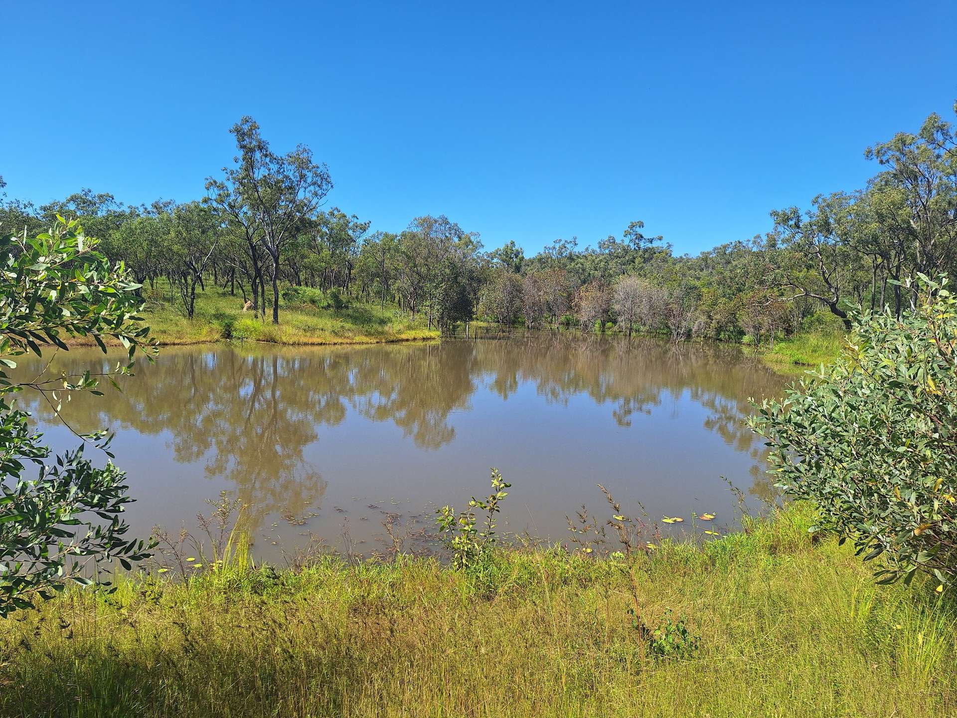 109 Short Road, Dimbulah For Sale by Farmbuy.com - image 8