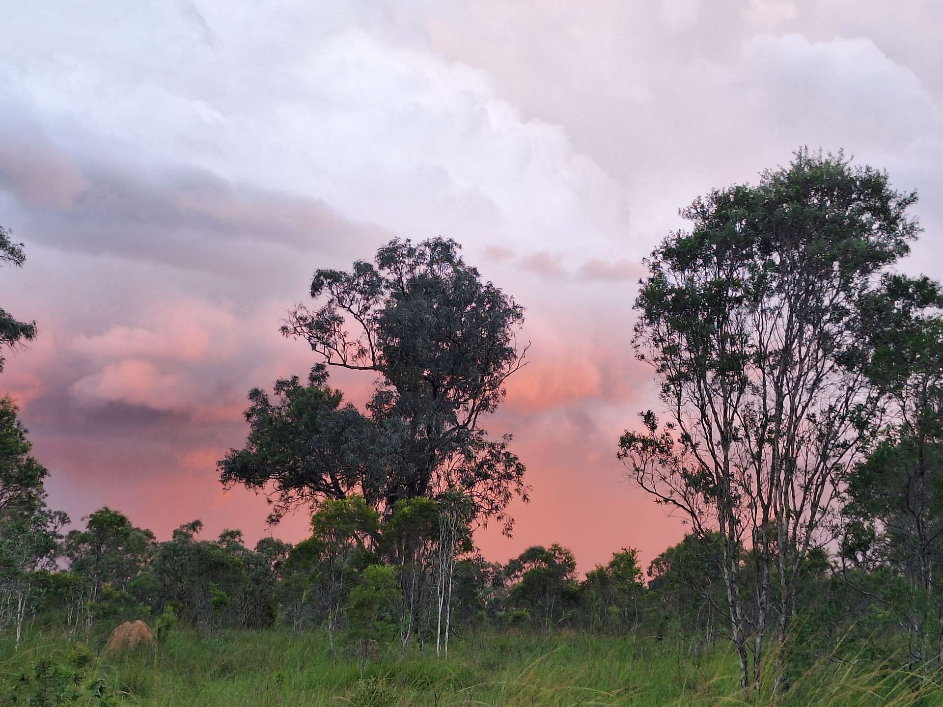 109 Short Road, Dimbulah For Sale by Farmbuy.com - image 6