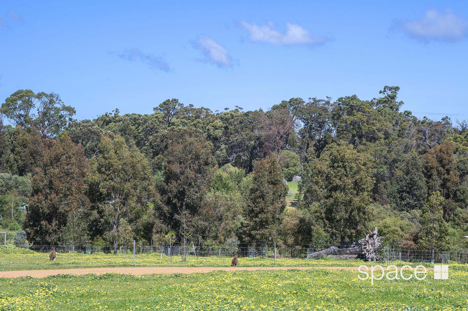 Lot 293, 19 Zani Place, Margaret River For Sale by Farmbuy.com - image 9
