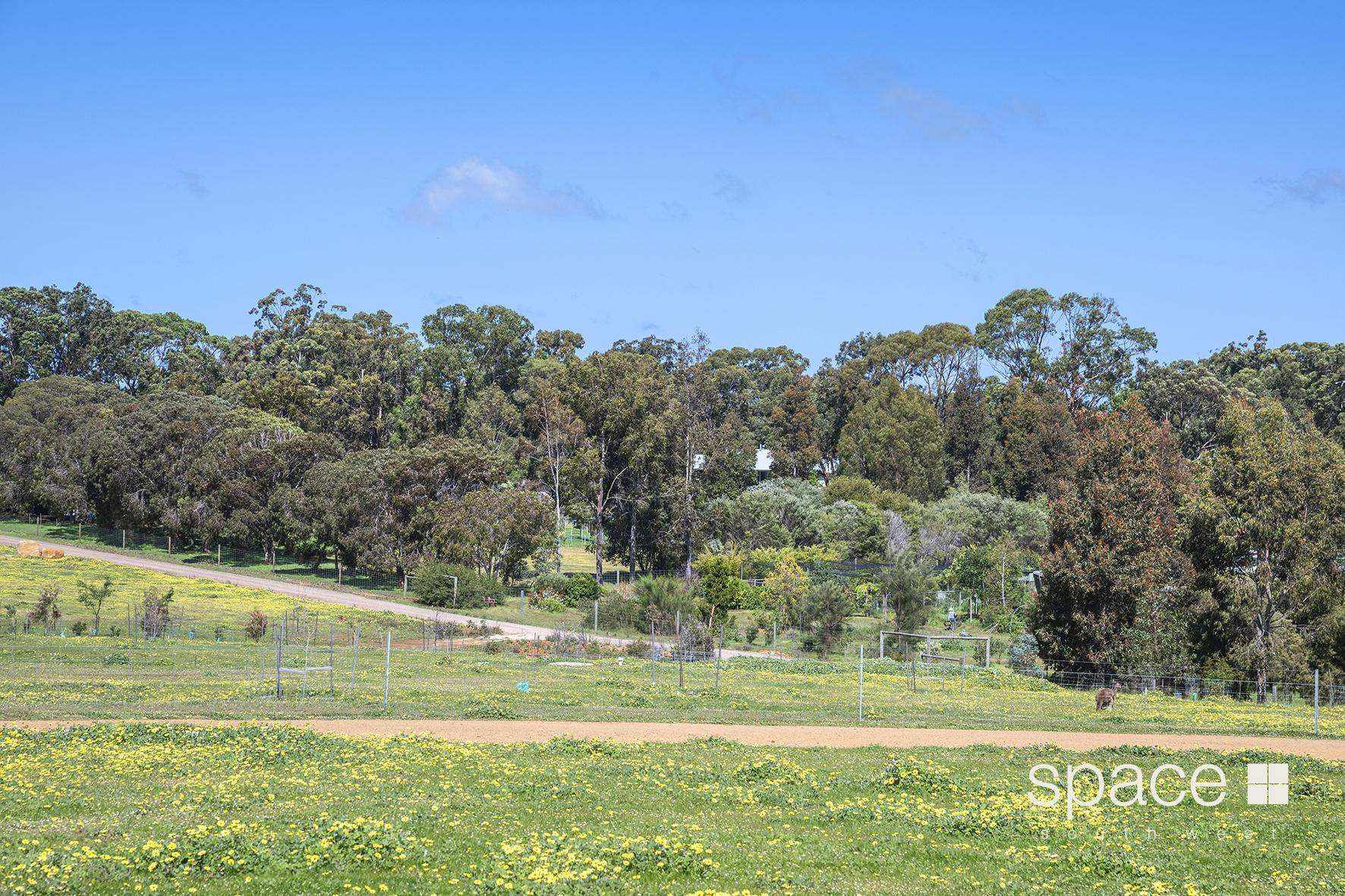 Lot 293, 19 Zani Place, Margaret River For Sale by Farmbuy.com - image 12