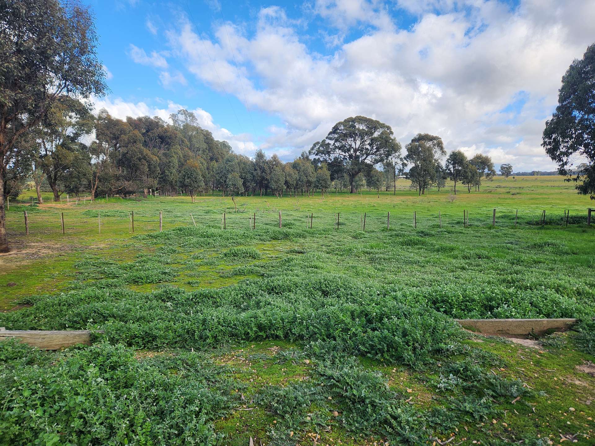 30 Popples Lane, Hilldene For Sale by Farmbuy.com - image 3