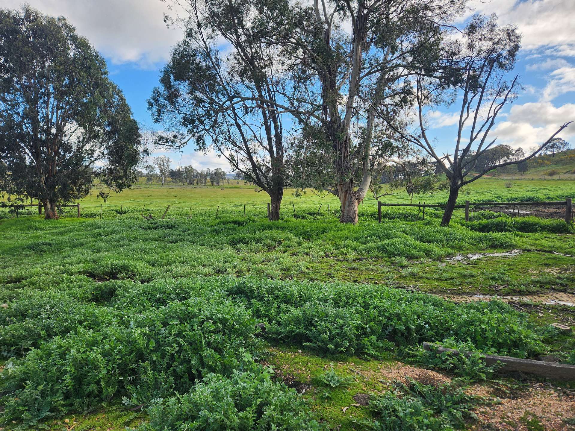 30 Popples Lane, Hilldene For Sale by Farmbuy.com - image 5