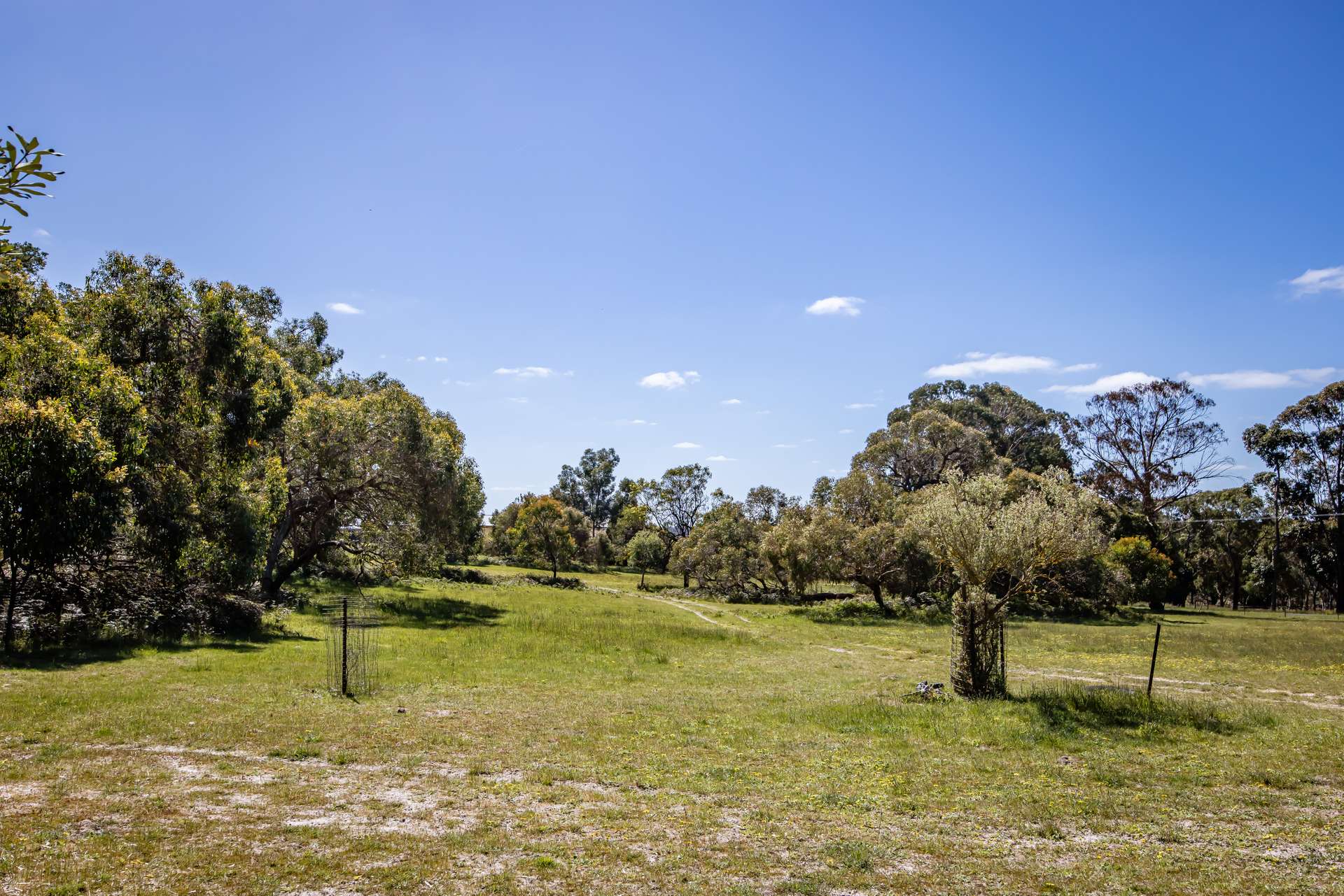 34 Martins Road, Naracoorte For Sale by Farmbuy.com - image 26