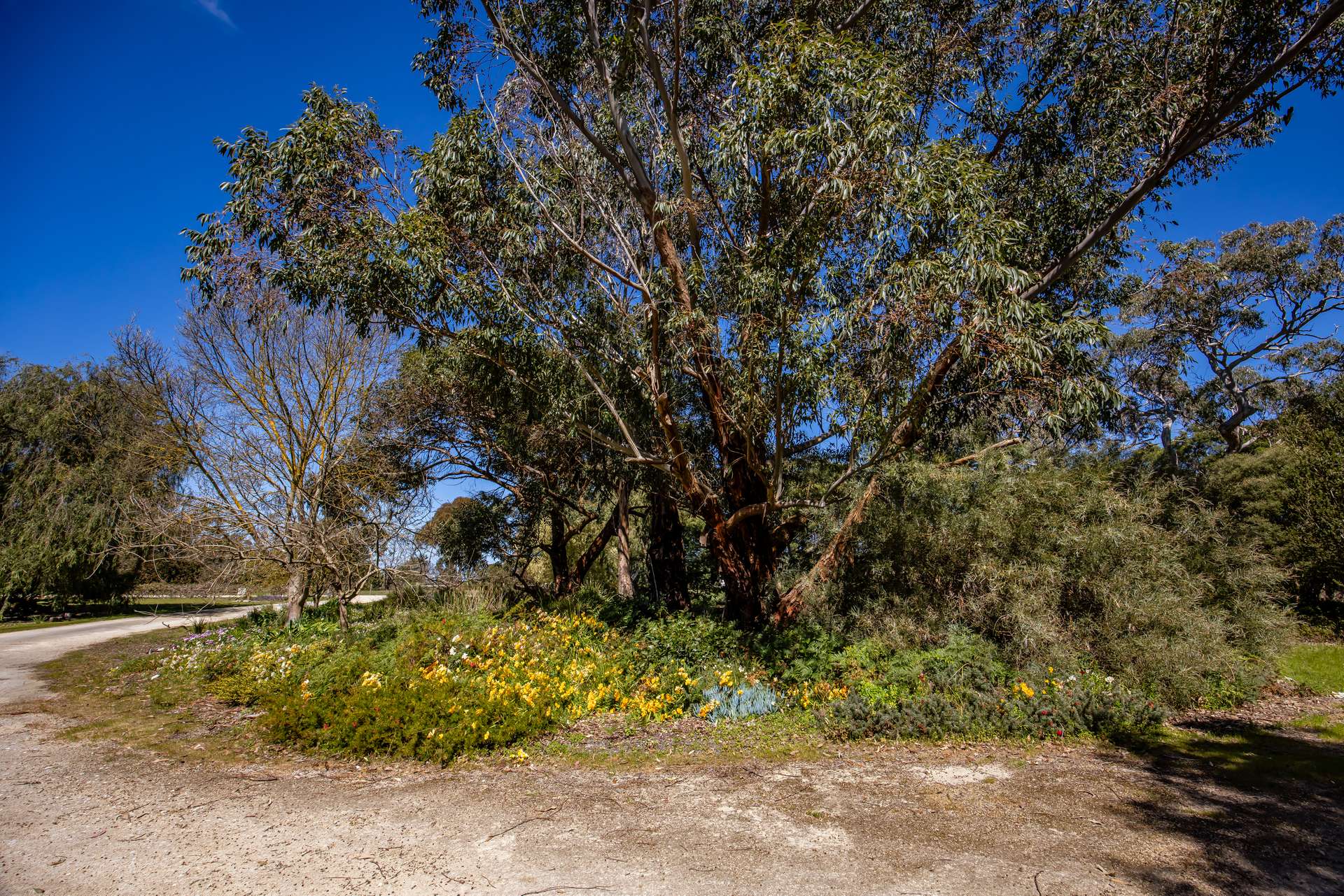34 Martins Road, Naracoorte For Sale by Farmbuy.com - image 18