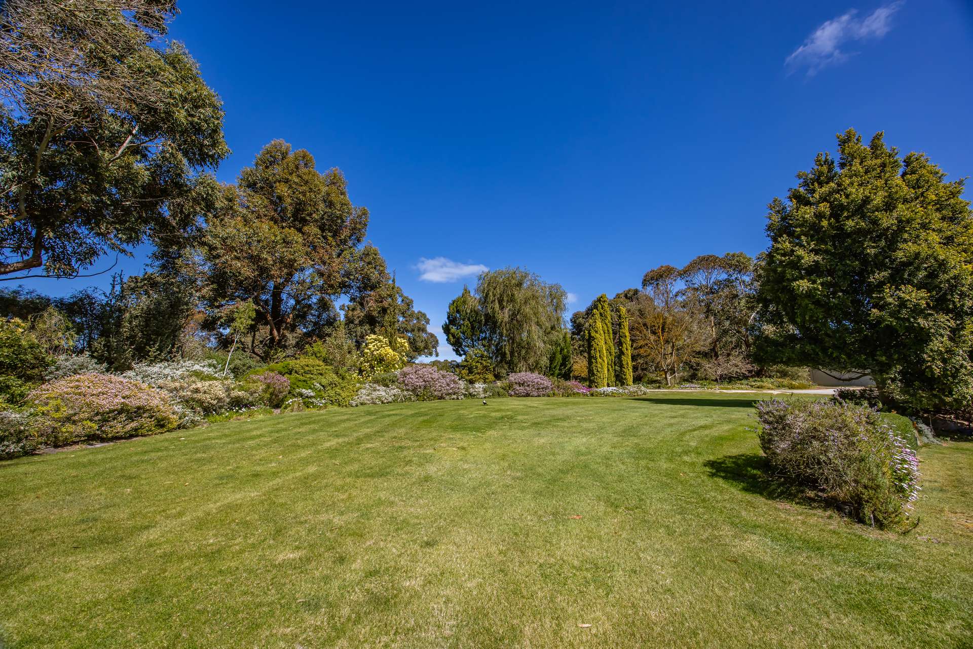 34 Martins Road, Naracoorte For Sale by Farmbuy.com - image 21