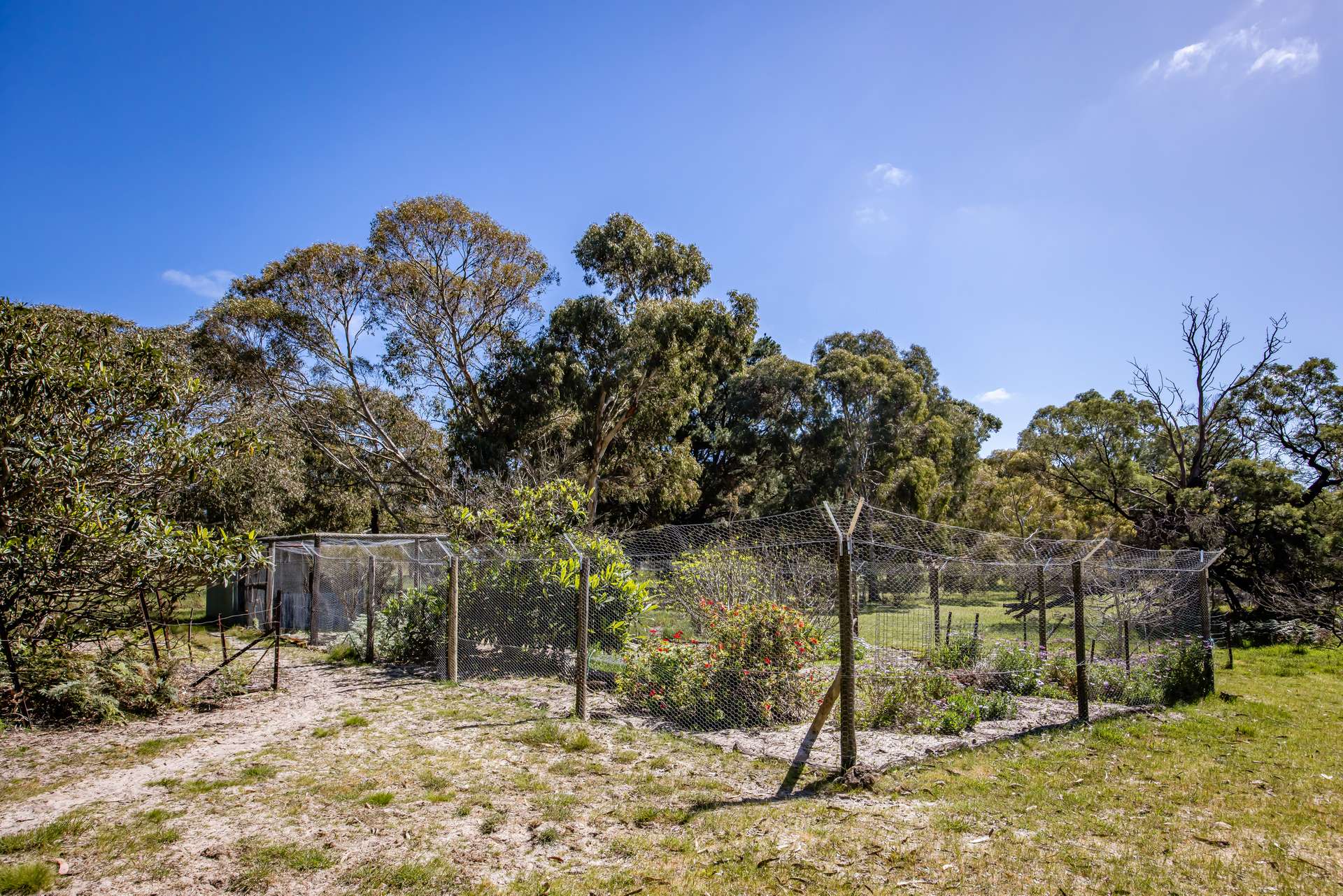 34 Martins Road, Naracoorte For Sale by Farmbuy.com - image 25