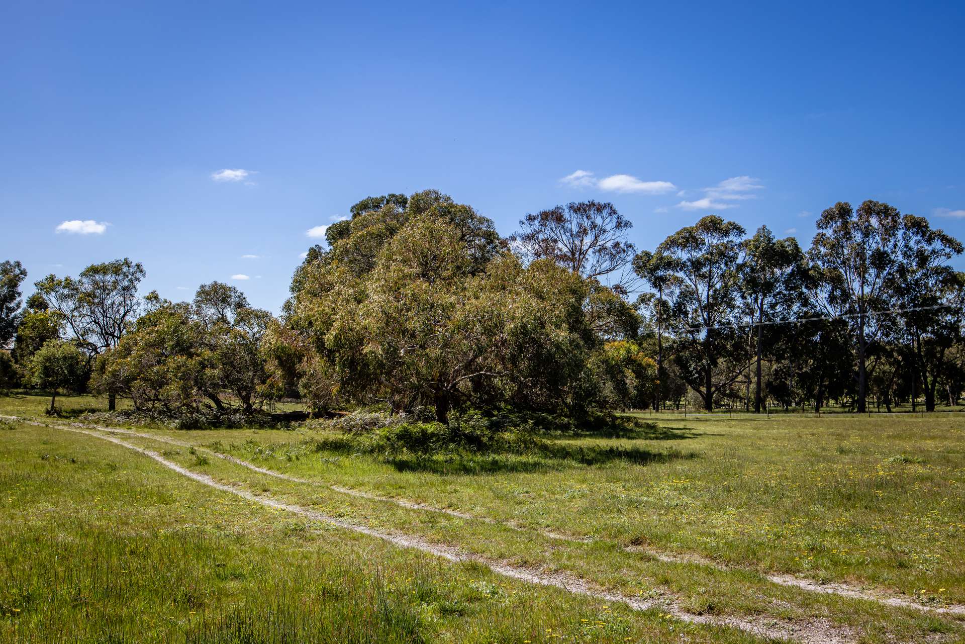 34 Martins Road, Naracoorte For Sale by Farmbuy.com - image 27